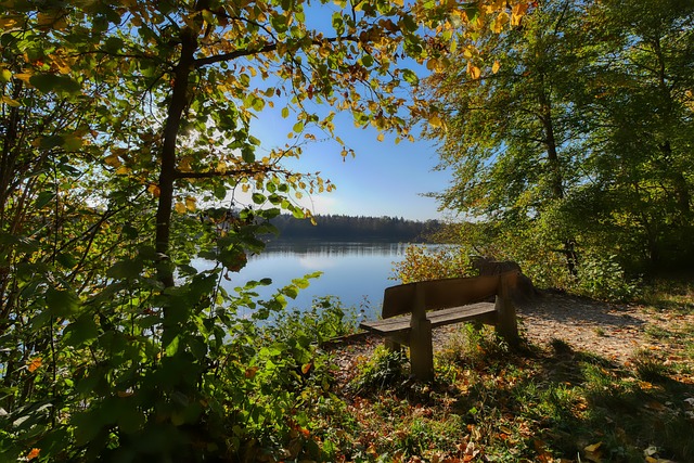 说唱歌手J 说唱歌手J