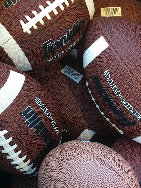 包括引进经 包括引进经