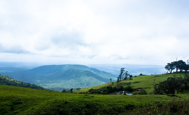 赴泰国拉练 赴泰国拉练
