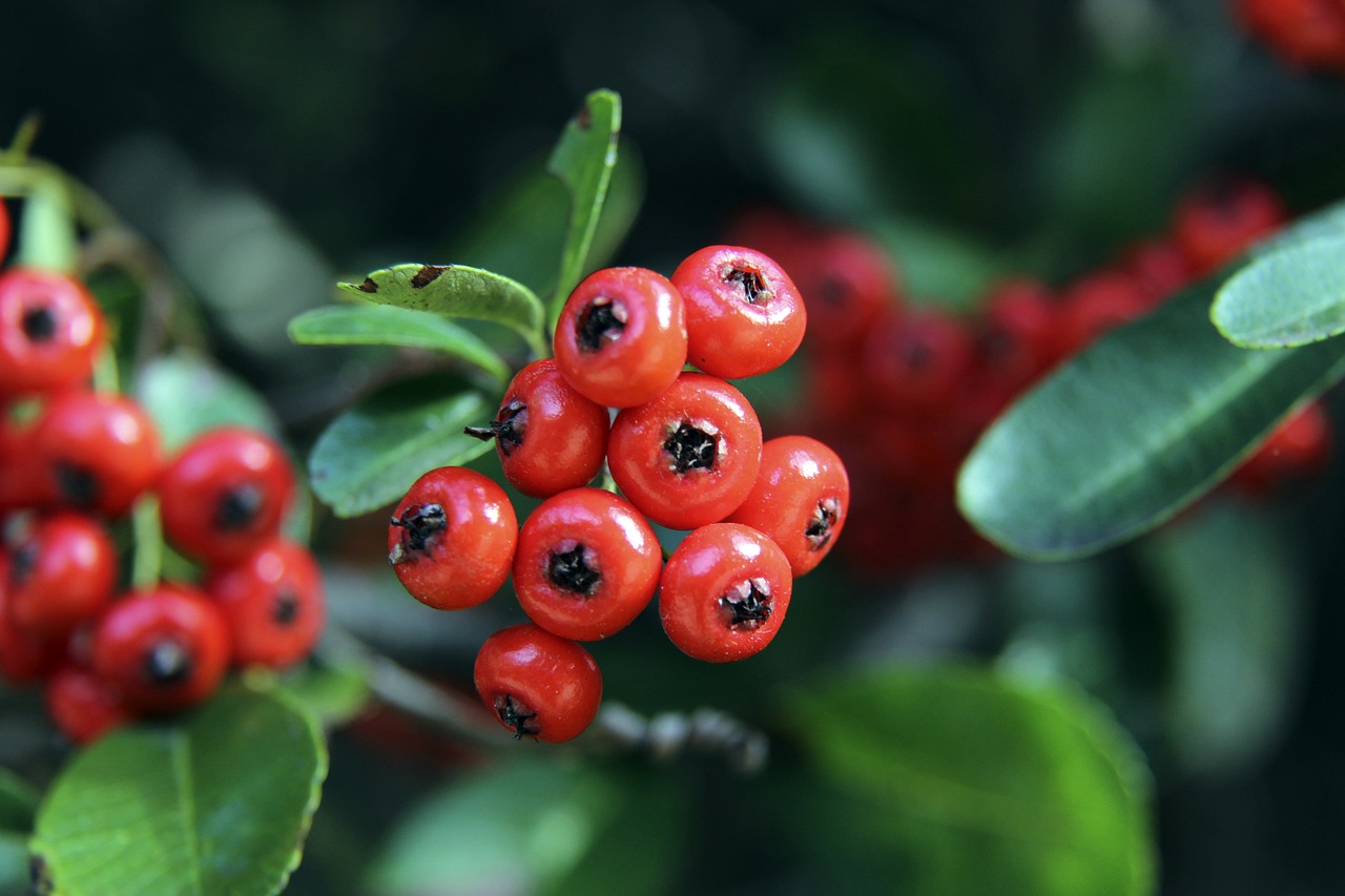 他并未展现 他并未展现