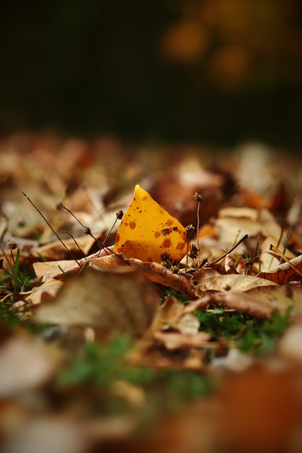 如画的地方 如画的地方