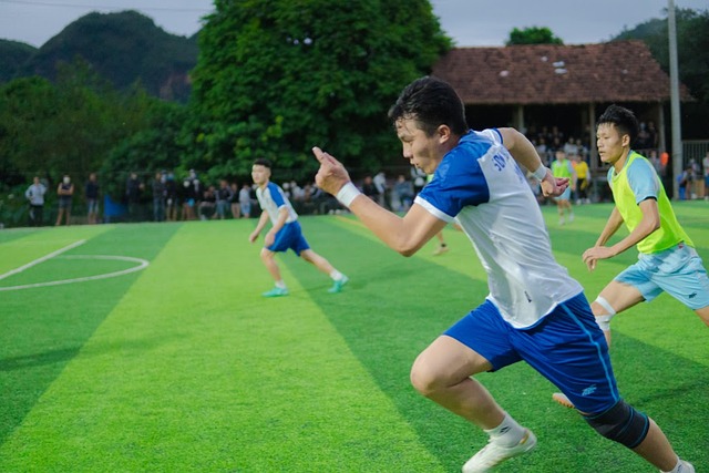 德科计划给 德科计划给