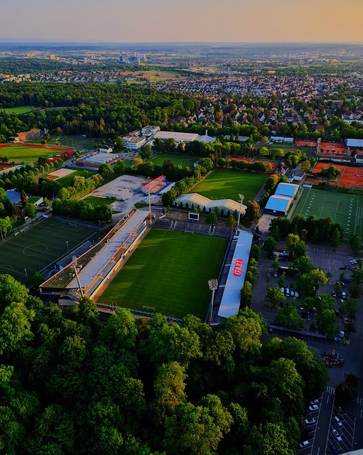 “成都女婿”辜梓豪首夺“西南棋王”头衔.