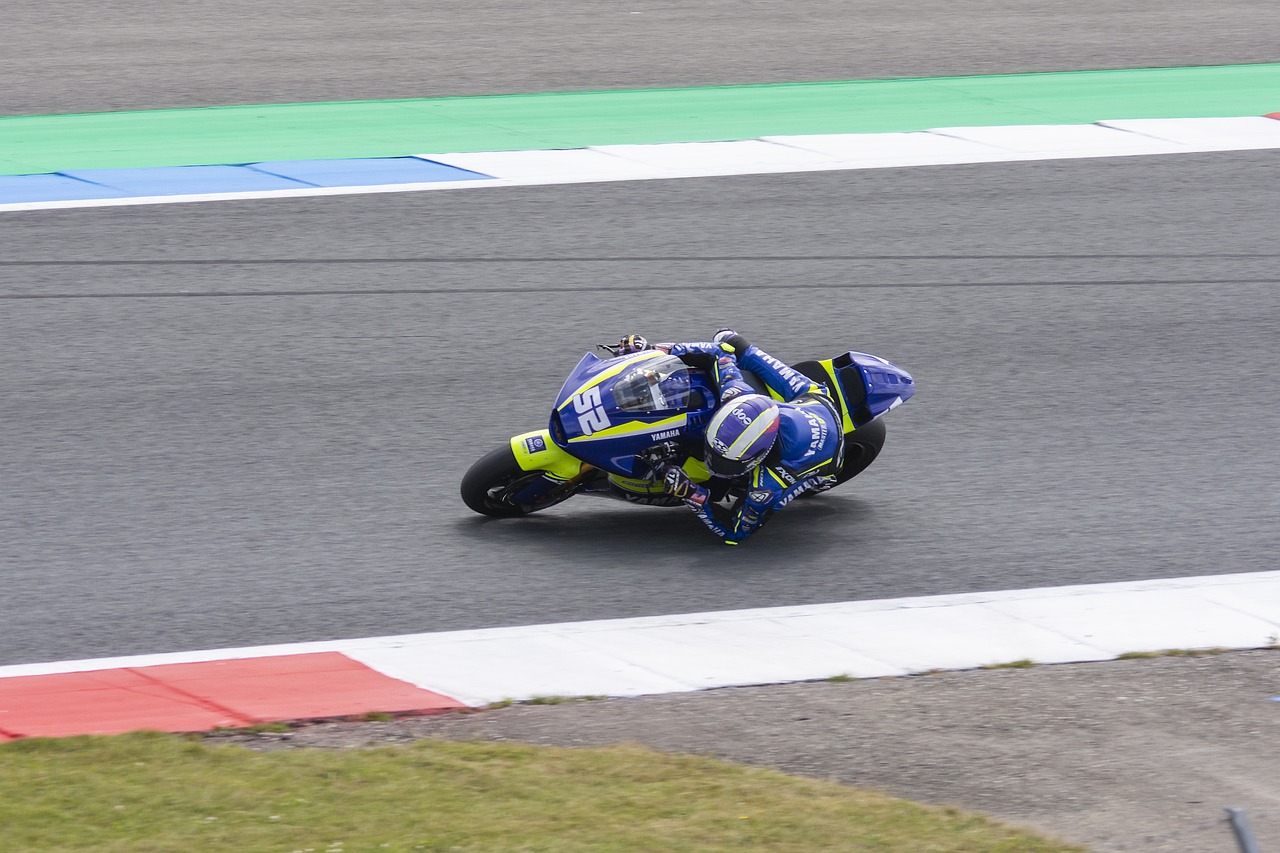 是对球队的 是对球队的