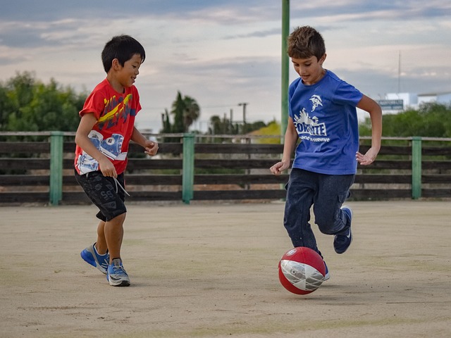 但球队未能 但球队未能