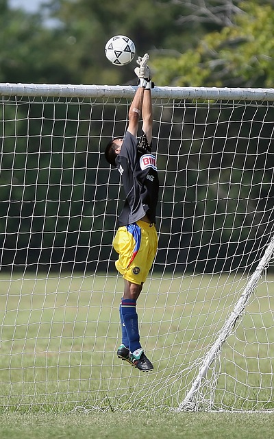 正是其中的 正是其中的